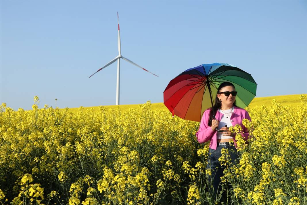 Kanola şöleni! Fotoğraf tutkunlarının yeni rotası burası oldu 5